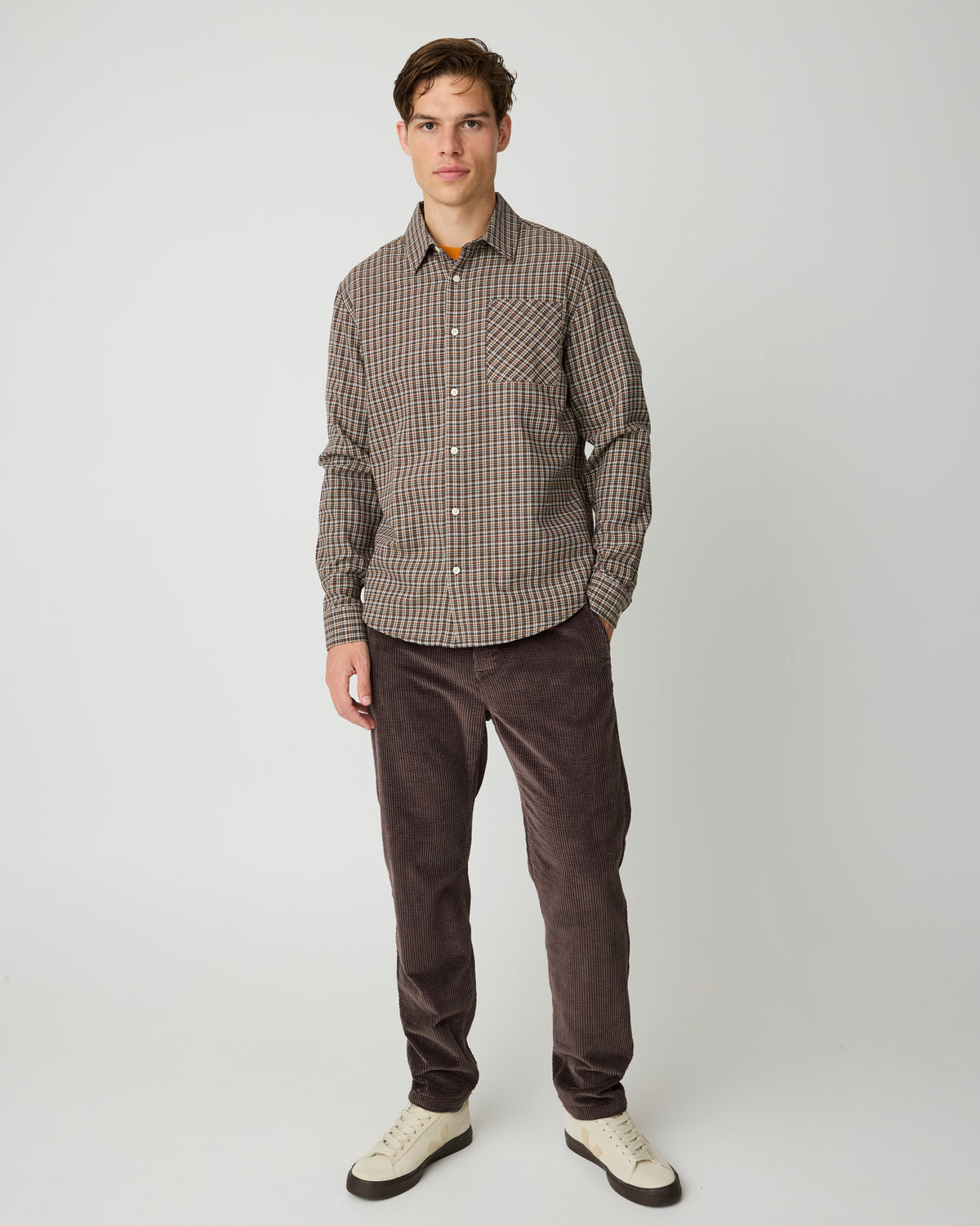 Chuck regular corduroy pants - Chocolate Torte